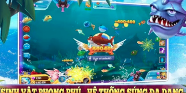 Bắn Cá Bingo Là Gì? Kinh Nghiệm Chơi Game Hay Tại Kubet Ku Casino